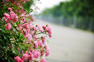 kaiyun开云官方网站硕士研究生“三助”工作...